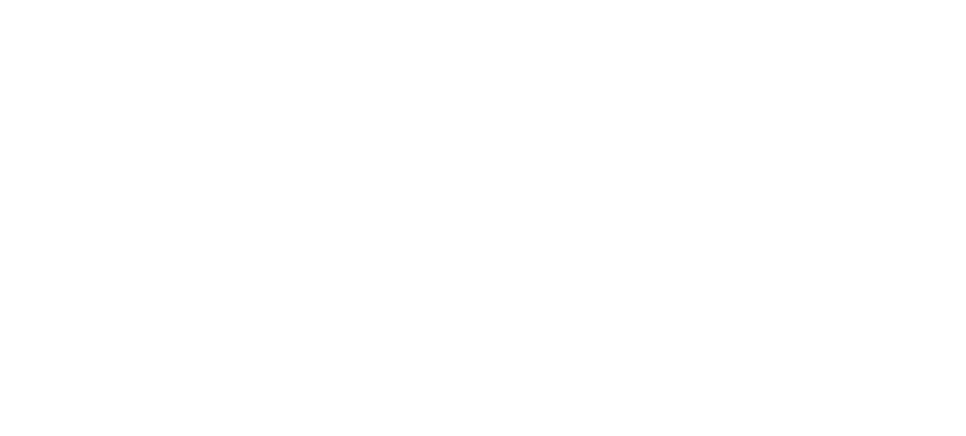 Brave Truth Studio